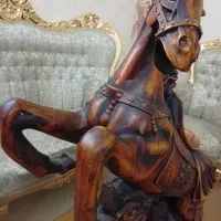 اسب کنار سالنی