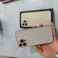 13 pro max