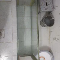 اکواریوم بزرگ|ماهی|شیراز, اصلاح‌نژاد|دیوار
