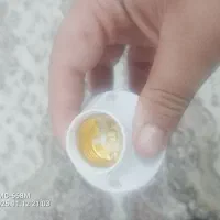 دوربین مداربسته رمی|دوربین مداربسته|ماکو, |دیوار