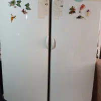 یخچال پارس دوقلو