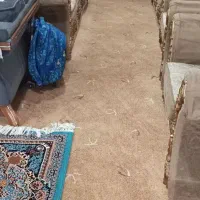 پالاز موکت  ۴۰متر|موکت|چمران, |دیوار