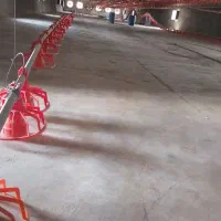 نیازمند کارگر مرغداری