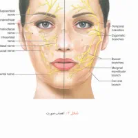 کلاس آموزش دستیار پزشک