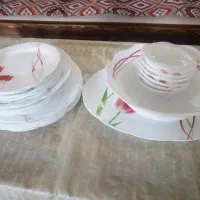 سرویس آرکوپال دسینی