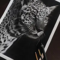 نقاشی چهره سیاه قلم و پرتره هدیه ایی|تابلو، نقاشی، عکس|قم, ارم|دیوار