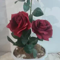 گل وگلدان|گل مصنوعی|همدان, |دیوار