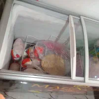 یخچال فریزر|یخچال و فریزر|عنبرآباد, |دیوار