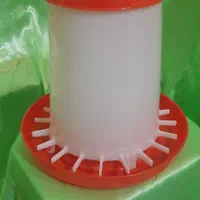 دانخوری و ابخوری