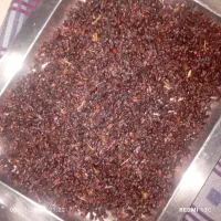 زرشک کوهی خشک شده