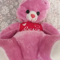 عروسک خرس شاصخین بزرگ نو|اسباب‌بازی بچه|کرج, حصارک بالا|دیوار