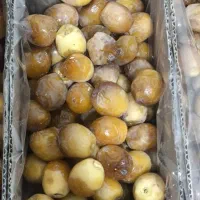 خرما زرد عسلی هلیله (بزمانی)|خوردنی و آشامیدنی|کرمان, |دیوار