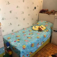 سرویس خواب پسرانه چیکو|تخت و سرویس خواب|تهران, میرداماد|دیوار