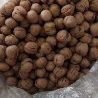 میوه|خوردنی و آشامیدنی|سپیدار, |دیوار