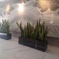 سرامیک کار.نما.دکور داخلی|خدمات پیشه و مهارت|فیروزآباد (فارس), |دیوار