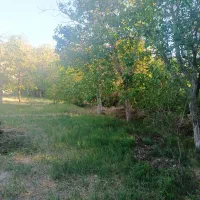 باغ در روستای گیو فقط 45دیقه تا قم