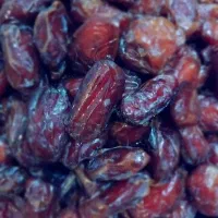 پخش خرمای کبکاب دشتستان درجه ۱ بدون شیره