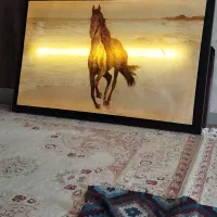 تابلو نقاشی|تابلو، نقاشی، عکس|محمدشهر, شهرک پیام (مهرالبرز)|دیوار