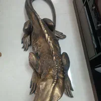 آفتاب پرست