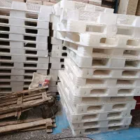 تعداد پالت درحدنو