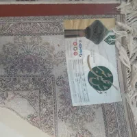 ۲تا فرش ۱۲متری زرشکی|مبلمان خانگی و میز عسلی|بومهن, |دیوار