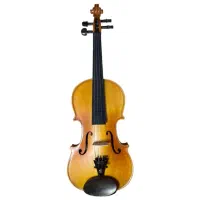 تمام سازهای شکسته و خراب