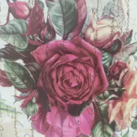 پرستار سالمند