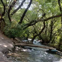 دامداری صنعتی