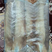 پالتو پوست طبیعی وارداتی