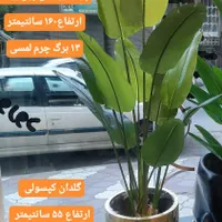 گل و درختچه مصنوعی