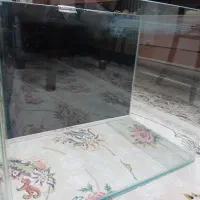 آکواریم شیشه خم