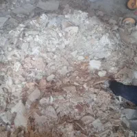 نون خشک|لوازم جانبی حیوانات|شال, |دیوار