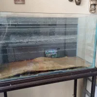 آکواریم صد لیتری