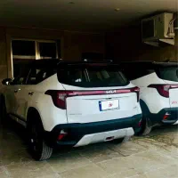 کیاسلتوس