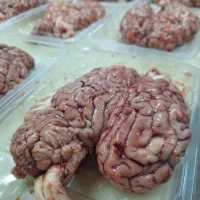 مغز و زبون ساندویچی