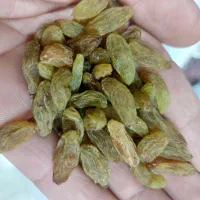 شیره انگور.آبغوره زرشک ارگانیک|خوردنی و آشامیدنی|تهران, آبشار|دیوار