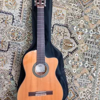 گیتار آریا ak30