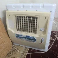 سلام یک عددکولرابی درحدنو