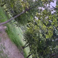 737-متر-زمین-سند-ششدانگ