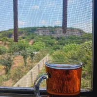 چای ایرانی اصل