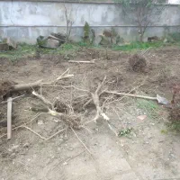 پیمانکاری ویلا ساختمان دیوار چینی|خدمات پیشه و مهارت|چمستان, |دیوار