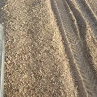 سنگ جمع کن تمام اتوماتیک|خدمات باغبانی و درختکاری|قیدار, |دیوار