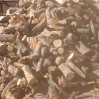 چوب خرد شده|خدمات باغبانی و درختکاری|شاهرود, |دیوار