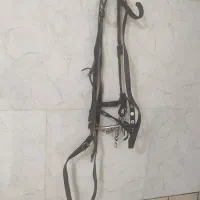 دهنه اسب زیبا وچرم مرغوب|اسب و تجهیزات اسبسواری|قزوین, |دیوار