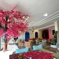 کمک اشپز فرنگی