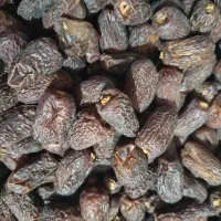 کپک ،هارک ، جاهین|خوردنی و آشامیدنی|سراوان, |دیوار