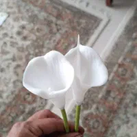 گل مصنوعی|گل مصنوعی|ری, ولی آباد|دیوار