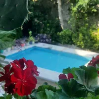 ویلایی دربست تک خواب حیاط دار با فضایی سرسبز آرام