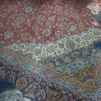 ۲ عدد قالی ۱۲متری|فرش|دزفول, |دیوار