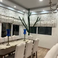 کاکتوس افوربیا